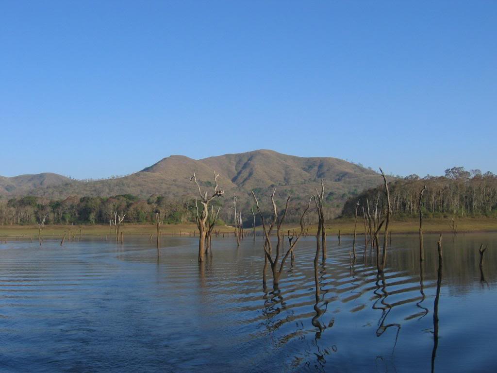 https://d3r8gwkgo0io6y.cloudfront.net/upload/Periyar Lake02.jpg